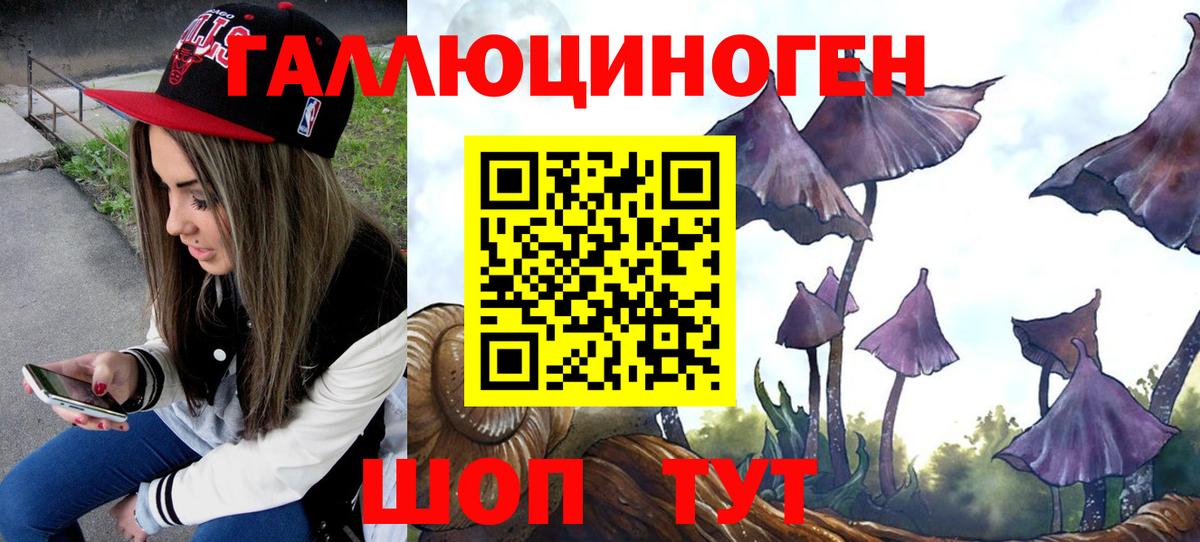 Псилоцибиновые грибы MAGIC MUSHROOMS Егорьевск
